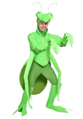 Animal Costumes | Men’s Green Praying Mantis Costume Animal Costumes Animal Costumes