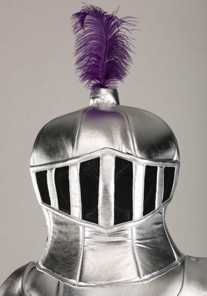 Historical Costumes | Mascot Knight Costume for Men Historical Costumes Historical Costumes