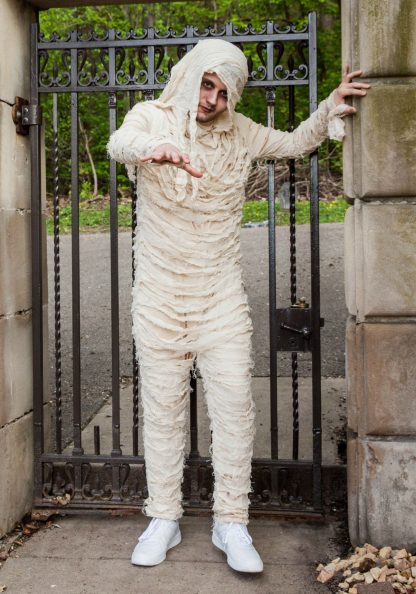 Scary Costumes | Men’s Egyptian Mummy Costume Mens Mens