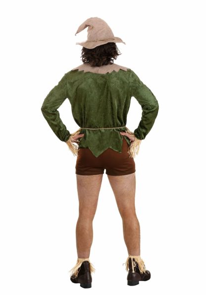 Storybook & Fairytale Costumes | Sexy Scarecrow Costume for Men Mens Mens