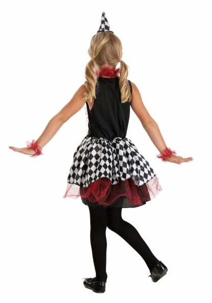 Superhero Costumes | Burgundy Harlequin Costume for Kids Funny Costumes Funny Costumes