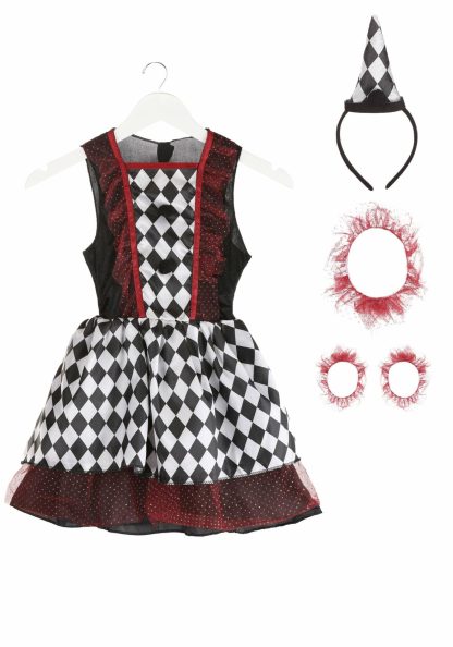 Superhero Costumes | Burgundy Harlequin Costume for Kids Funny Costumes Funny Costumes