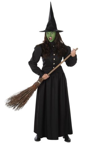 Wonderful Wizard of Oz Costumes | Wicked Witch Costume for Women Themes Womens