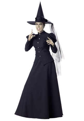 Wonderful Wizard of Oz Costumes | Witch Costume for Adults Themes Womens