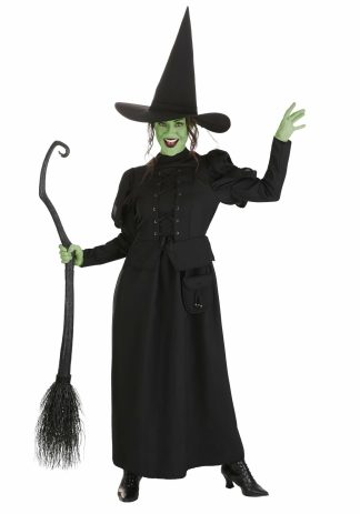 Wonderful Wizard of Oz Costumes | Women’s Wizard of Oz Wicked Witch Costume Dress Storybook & Fairytale Costumes Storybook & Fairytale Costumes